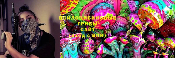 стаф Болотное