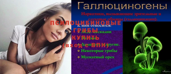 эйфоретик Алзамай